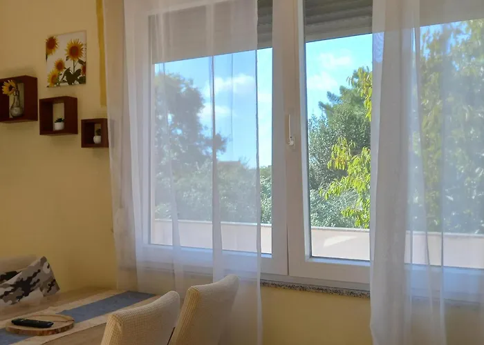 Lägenhet Lovely In With Wifi Zaton (Zadar)